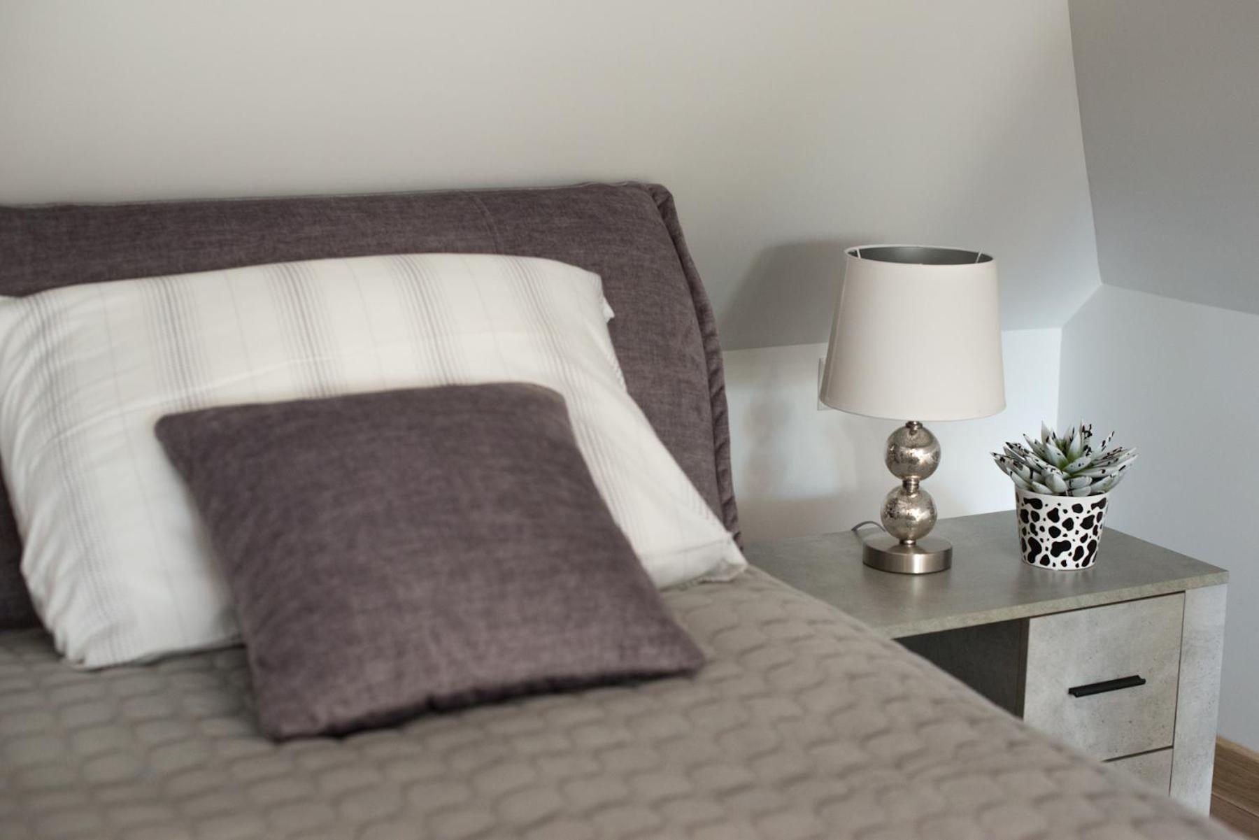 Petro Delux Apartments Kaunas Dış mekan fotoğraf